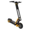 TROTTINETTE ELECTRIQUE - INMOTION RS / INMOTION RS BW 2