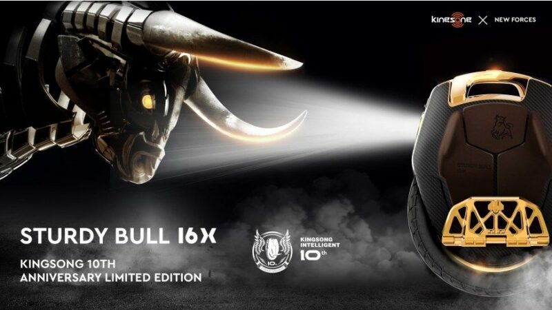sturdy Bull 16X 