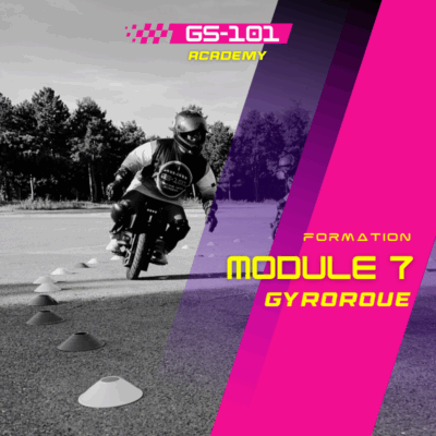 stage de gyroroue paris gs-101